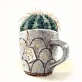 Cuscino